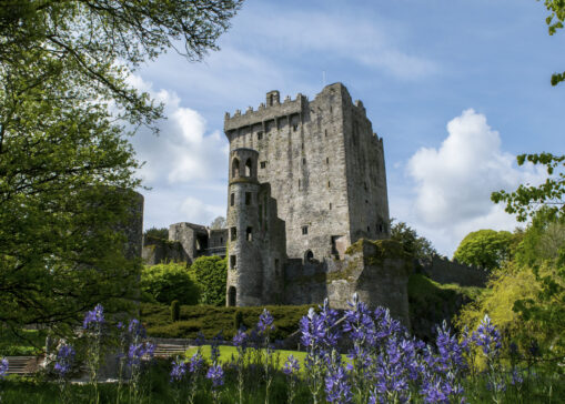 Blarney Castle and Gardens Blarney Co Cork master