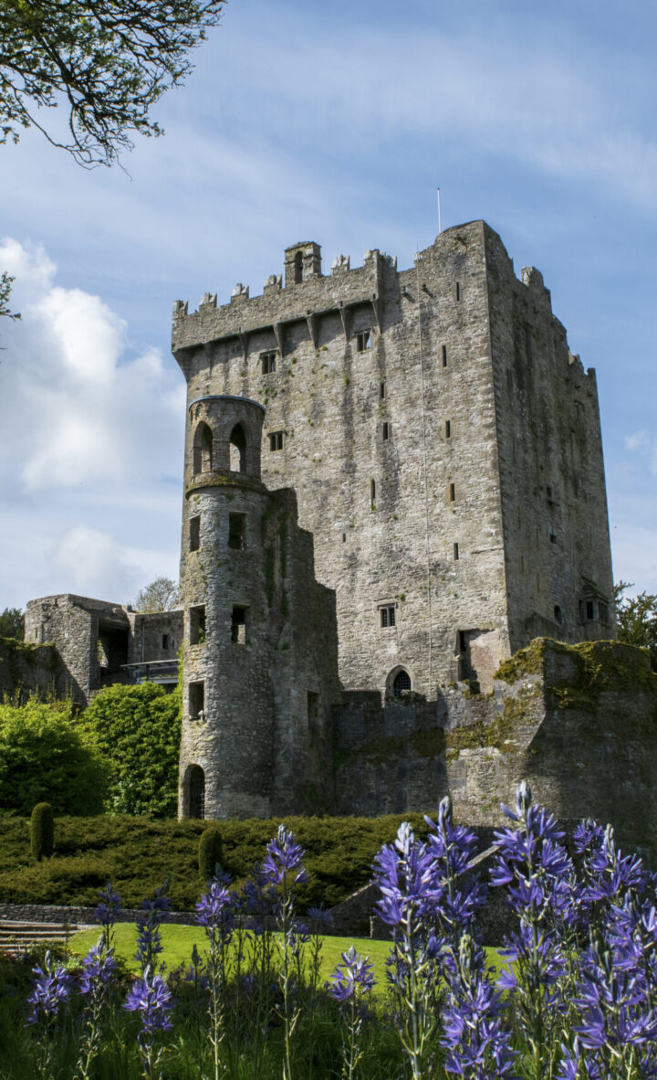 Blarney Castle and Gardens Blarney Co Cork master