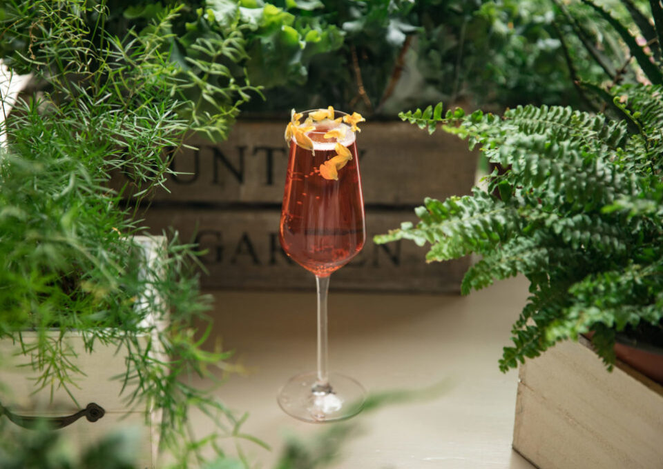 Cocktail 1 l 1024x683 1