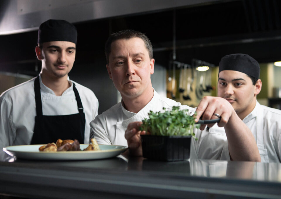 Trigon Tomas batch Web Ready 5 scaled 1