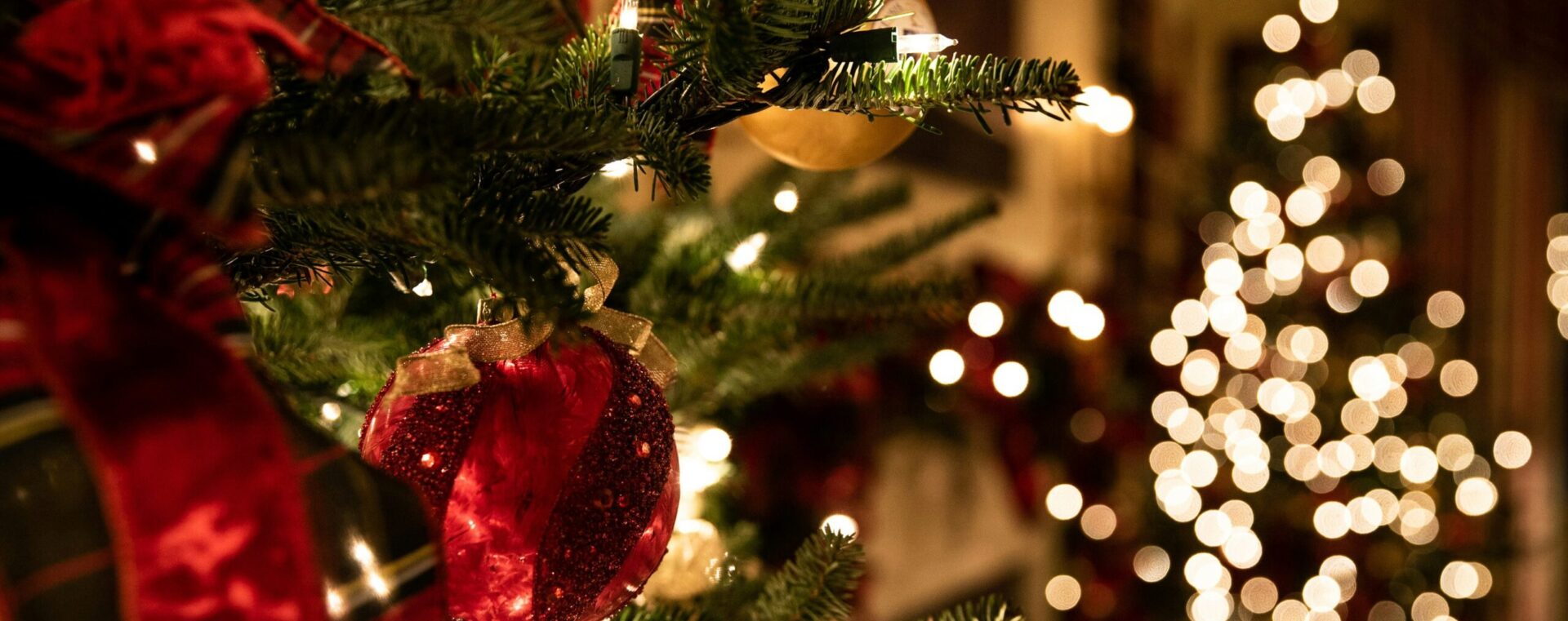 tessa rampersad 5toRIWF2GUY unsplash