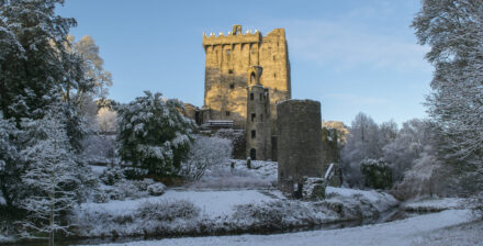 Blarney Castle and Gardens Blarney Co Cork. TI71DC5